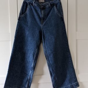 Everlane The Wide Leg Jean